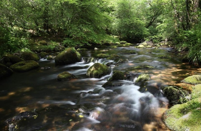 Chalk Streams