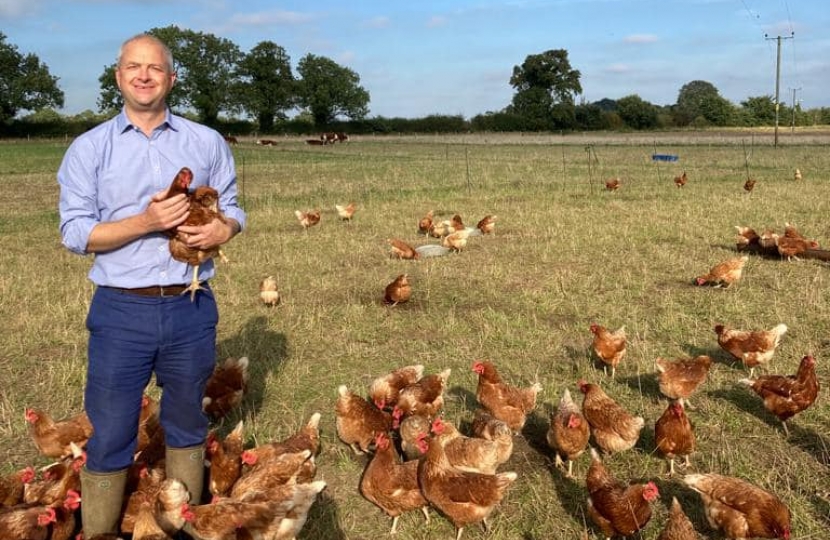 Jerome and Chickens