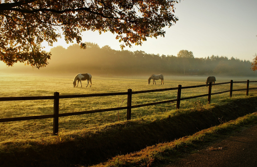 Rural image