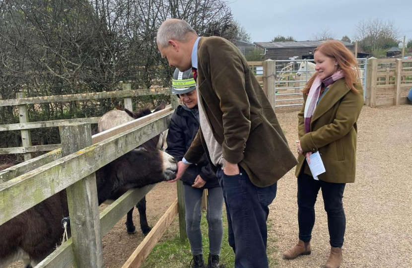 Visit to Redwings Horse Sanctuary