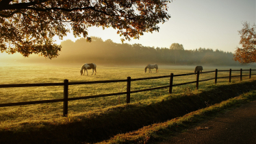 Rural image